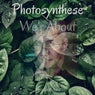 Photosynthese We'r About
