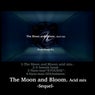 Sequel The Moon and Bloom Asid mix / EP