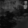 Can You Hear Me?