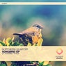 Songbird / Africa