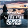 We'Re Free (DJ Chris Davies Remix)