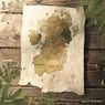 Brand New Map