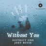 Without You