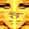 What I Want (The Remixes)