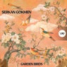 Garden Birds