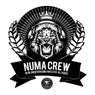 Numa Crew LP Sampler