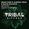 Missing (Sean Finn Mix)