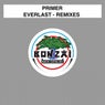 Everlast - Remixes