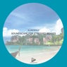 Soundscape For Stressed Senses Chapter 11