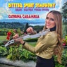 Bitter Sweet Symphony - Electric Violin Cover