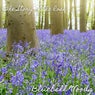 Bluebell Woods