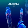 Maecenas