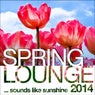 Spring Lounge 2014 (Sounds Like Sunshine)