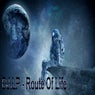 Route of Life