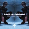 LIKE A DREAM