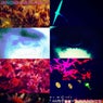 Mistery Moments