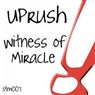 Witness Of Miracle