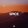 Spice (Extended Mix)