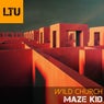 Maze Kid