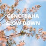 SLOW DOWN
