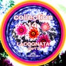 Collection 14 / Lacognata / Part 2