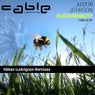 Sustainability (Hakan Ludvigson Remixes)