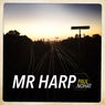 Mr Harp