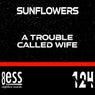 A Trouble Called Wife