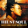 Soul Organic (Remix EP)