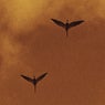 Moons (Extended)