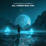 All I Knew Was You