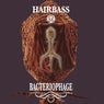 Bacteriophage