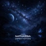Perfect Harmony (Extended Mix)