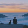 Echoes of Stillness