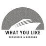 What You Like