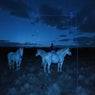 DREAMS FADE (Extended Mix)