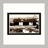 Scandinavian Homes