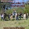 The Ladies of Southern Soul, Vol. 1