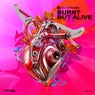 Burnt But Alive (Includes Miroslav Vrlik & Rysto Remixes)
