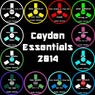 Cayden Essentials 2014