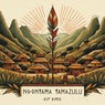 Ngonyama yamaZulu (DSF Remix)