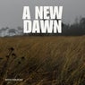 A New Dawn
