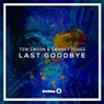Last Goodbye