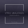 Strix Uralensis (feat. Miwa) [MelodicHouseRemix]