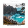 Passing Moment / Go Sweat