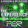 The Experience (Remixes)