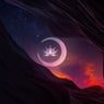 Earthwave EP