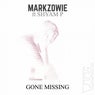 Gone Missing