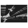 Central Station Excitation