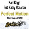 Perfect Motion Remixes 2010
